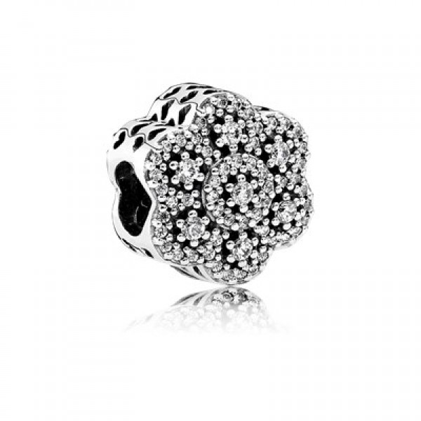 Pandora Crystalized Floral-Clear