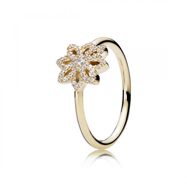 Pandora Jewelry Lace Botanique 14K Gold Discount