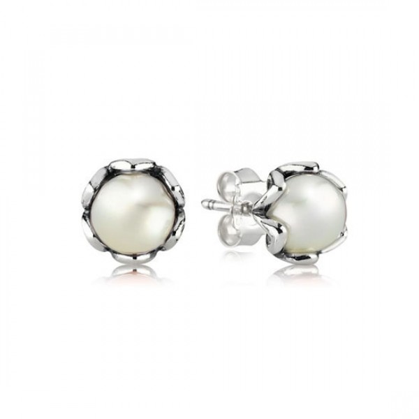 Pandora Cultured Elegance Stud Earrings White Pearl
